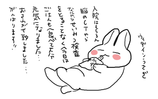 うぃだー.png